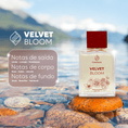 Carregar imagem no visualizador da galeria, Velvet Bloom